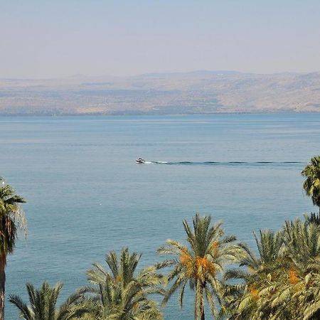 Roses By Lake Kinneret Tiberias Kültér fotó