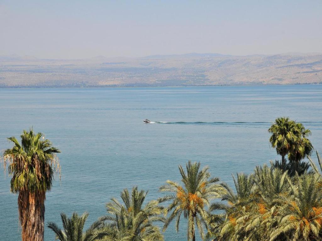 Roses By Lake Kinneret Tiberias Kültér fotó